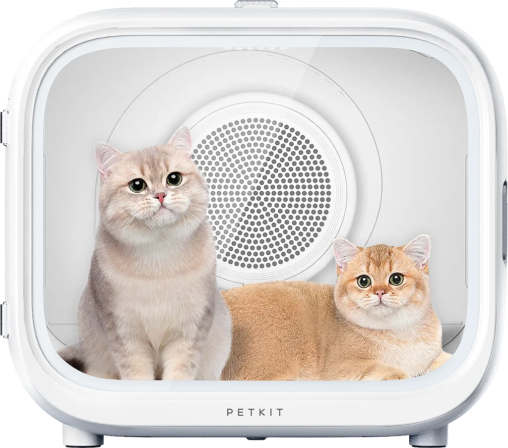 PetKit-BG001